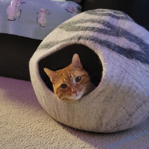 Brandi added a photo of their purchase