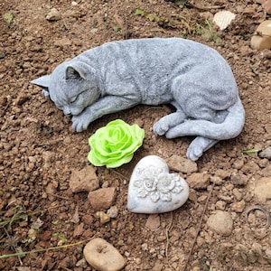 Claudia added a photo of their purchase