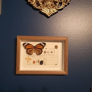 Ashley added a photo of their purchase