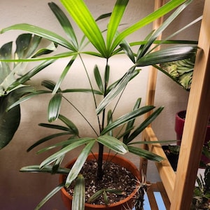Yvonne added a photo of their purchase