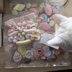 Whitney added a photo of their purchase