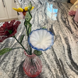 Kendall added a photo of their purchase