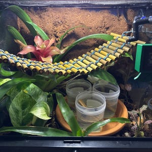 jupiter added a photo of their purchase
