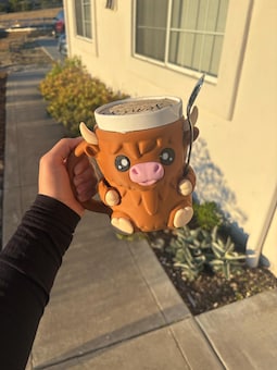 Customer photo