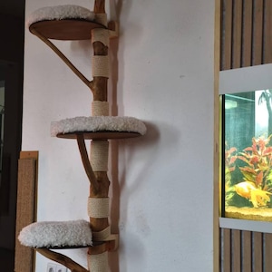 Sandra added a photo of their purchase