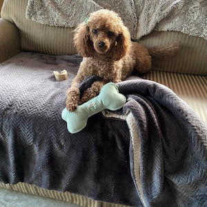 Pamela added a photo of their purchase