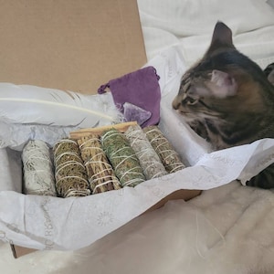 Diana ha aggiunto una foto del proprio acquisto