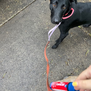 dharma added a photo of their purchase