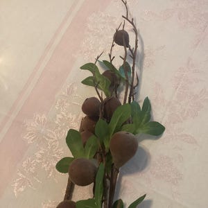 Deborah added a photo of their purchase