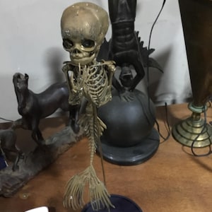 Hector added a photo of their purchase