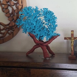 Matthew added a photo of their purchase