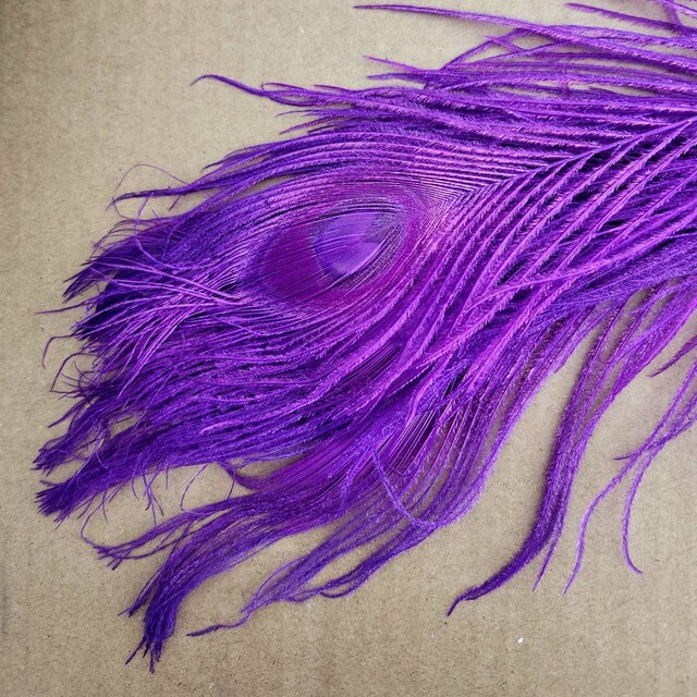 Dyed Peacock Eye Feather Large 65cm – Purple