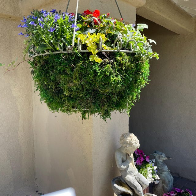 Wrought Iron Georgian Hanging Planter Basket – Rustic Georgian
