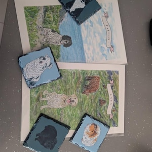 𝒮𝓀𝓎𝑒 added a photo of their purchase