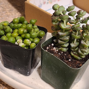 Jennifer added a photo of their purchase