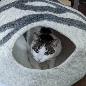 E added a photo of their purchase