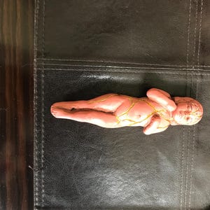 Jean added a photo of their purchase