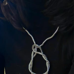 Kristina added a photo of their purchase