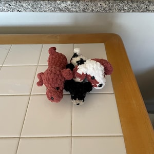 D ha añadido una foto de su compra