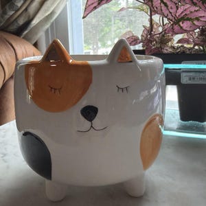 Catharine added a photo of their purchase