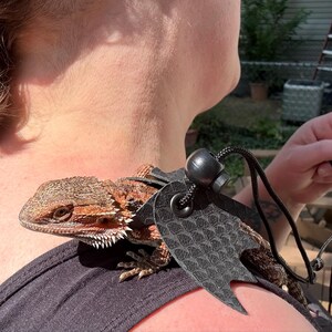 Gretchen added a photo of their purchase