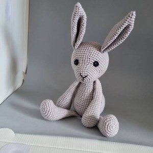 SCHEMA: Basil la lepre Crochet Amigurumi PDF Scarica lo schema del ...