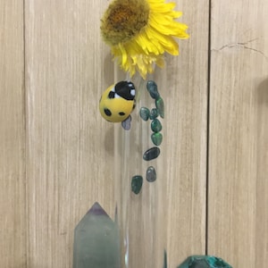 Benjamin added a photo of their purchase