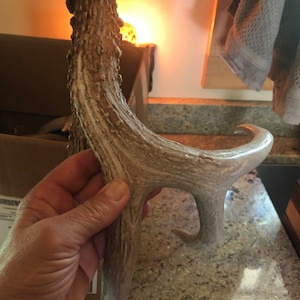 Jaclyn ha añadido una foto de su compra