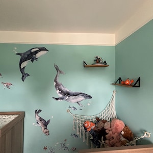 Molly added a photo of their purchase