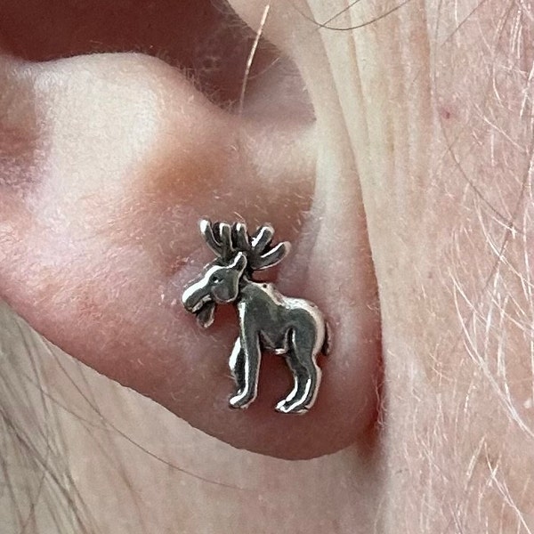 Sparkling Sand Dollar Stud Earrings main image 0