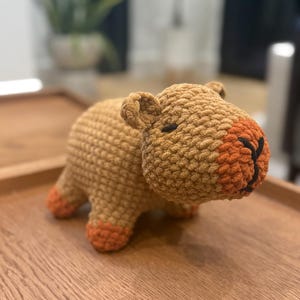 Rachel a ajouté une photo de son achat