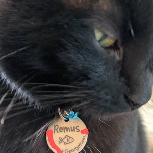 Amy hat ein Foto des gekauften Artikels hinzugefügt