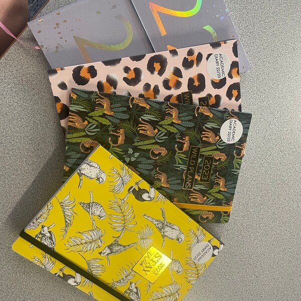 2025 Slim Wall Calendar Planner Spiral, Scenic, Postal, Envelope,sleek