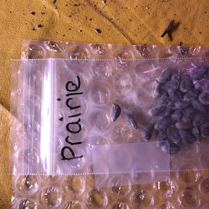 Rebecca ha añadido una foto de su compra