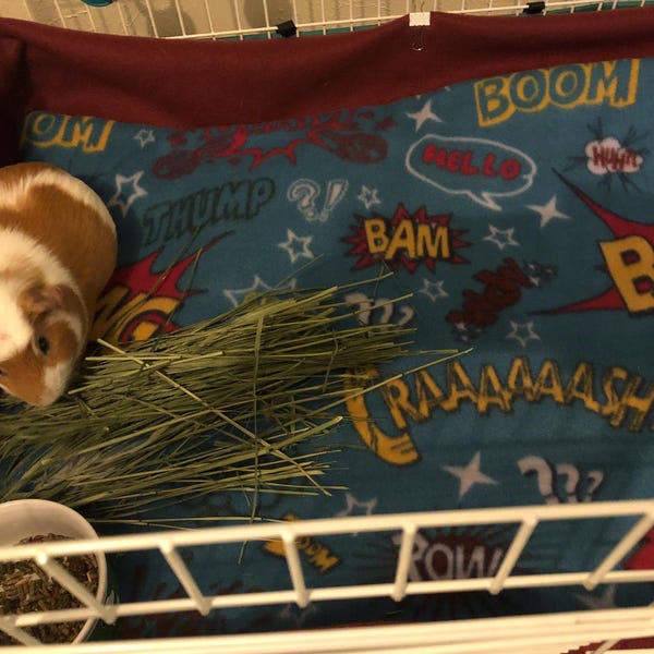 View of Custom Fleece Guinea Pig Cage Liner C&C 1x2 2x2 2x3 2x4 2x5 Liner ...