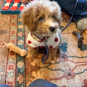 Emily さんが購入した商品の写真を追加しました