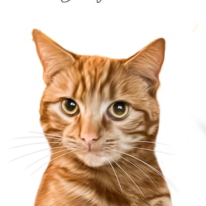 Rae added a photo of their purchase