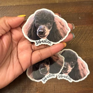 Rikki added a photo of their purchase
