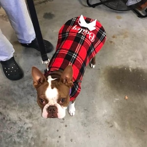 Lacey added a photo of their purchase