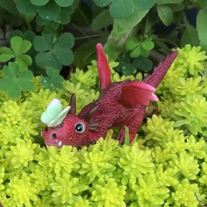 Darlene added a photo of their purchase