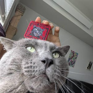 Erik added a photo of their purchase
