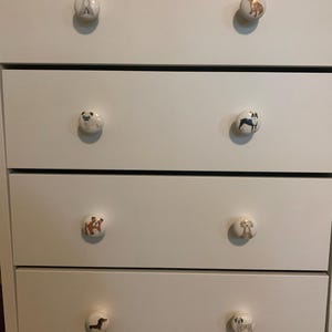 Andi added a photo of their purchase