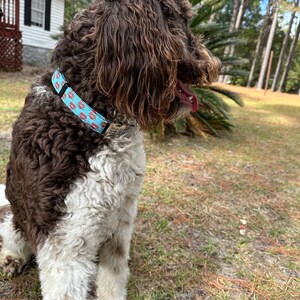 Brandee Kinder added a photo of their purchase