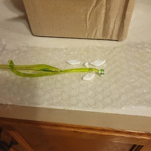 Alicia added a photo of their purchase