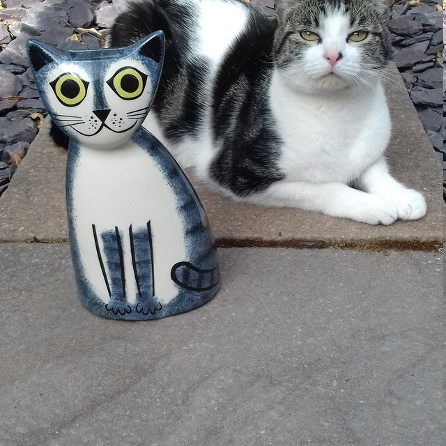 Handmade Ceramic Cat Money Box, Retro Hannah Turner Design - Etsy