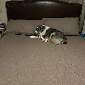 John added a photo of their purchase