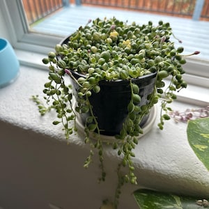 Cindy added a photo of their purchase