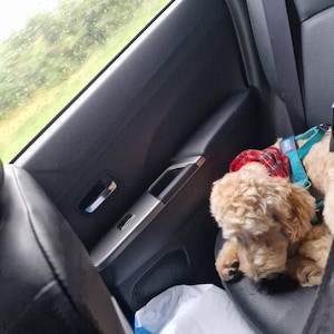 maggie added a photo of their purchase