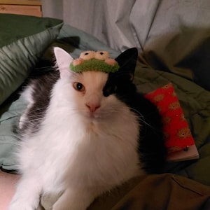 Charlie a ajouté une photo de son achat