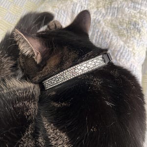 Karah added a photo of their purchase